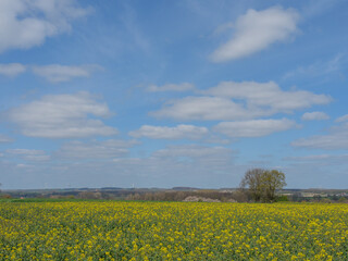 Obraz premium Das Dorf Darfeld in den Baumbergen