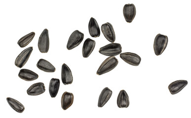 Sunflower seeds isolated on white background, top view