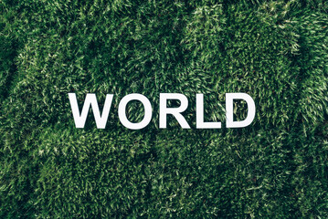 Word World on moss, green grass background. Top view. Copy space. Banner. Biophilia concept. Nature backdrop