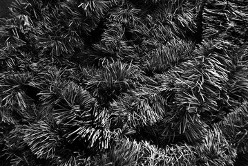 black and white fur texture