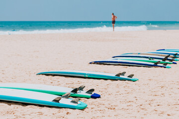 Surfboards on the ocean sandy tropical beach in front of a surf line on a sunny day.