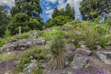 City Botanical Gardens (1870) in Copenhagen, Denmark. Botanical Garden is a unique green space in...