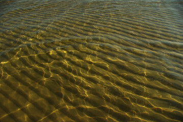 Fototapeta na wymiar The seabed seen through clean and transparent water