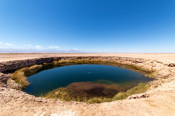 Fototapeta na wymiar Ojos del Salar Lagoon, Salar de Atacama, Chile..