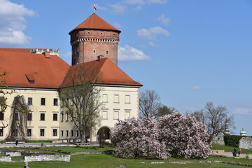 Wawel castle, monuments, city in Poland, UNESCO site, Krakow, historic old town,