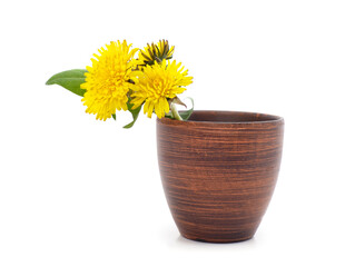 Bouquet of dandelion in weight.