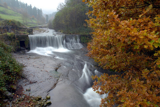 Autumnal image of the Arnauri river in the Gorbeia Natural Park. Orozko. Basque Country. Spain