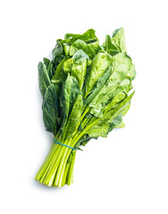 Bunch of green spinach leaves