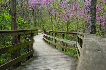 Obraz premium Hayden Falls Park at Griggs Nature Preserve
