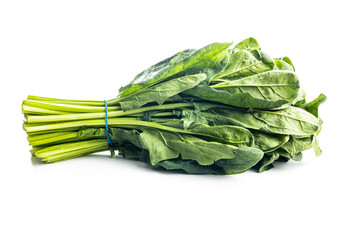 Bunch of green spinach leaves