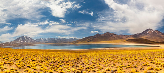 Miscanti Lagoon in the Atacama Desert, Chile © NICOLA
