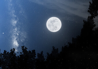 Full Moon with Milkyway on background over the silhouette of trees