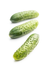 Fresh green cucumbers.