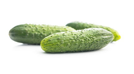 Fresh green cucumbers.