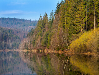 Fototapeta na wymiar Forest on the shore of Lake Czernianskie, Beskidy Mountains, Poland,