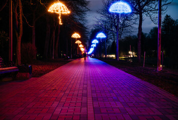 The tiled road in the night park with illuminated umbrellas. Benches in the park at night....