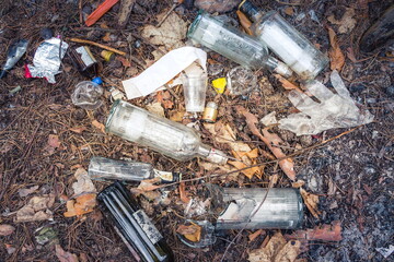 Garbage in a pine forest. Glass bottles of alcohol are scattered in the forest. People illegally...