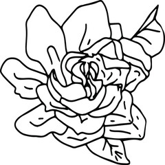 black and white graphics, doodles, rose with leaves