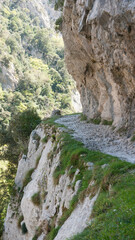 Sendero en montaña rocosa de Asturias