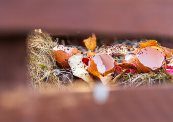 Wooden hand made builded composter with fresh natural waste in it placed in garden near trees.