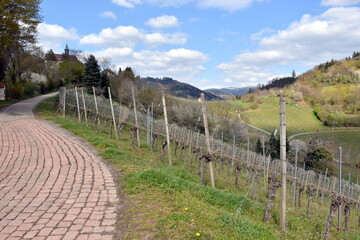 Fototapeta na wymiar Grüne Berge in Gegenbach im Schwarzwald