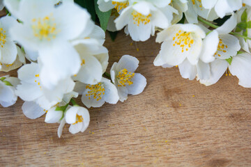 White jasmine flowers, traditional green tea ingredient, aromatherapy flavor