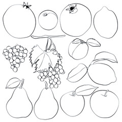 Set of fruits, leaves, linear black and white pattern.