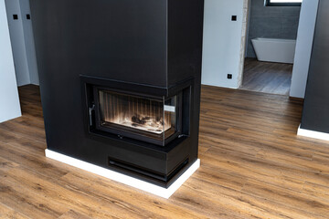 A modern fireplace with a closed combustion chamber standing in the living room, painted black,...