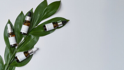 Glass bottles with cosmetological oils lying on leaf