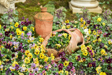 A flowerbed with ceramic vases, planted with multicolored tricolor violas. Selective focus.