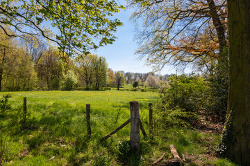 Fototapeta premium Adventurous natural hiking path in the forest alongside a stream with a crossing in South Limburg near Elsloo with views over the meadows