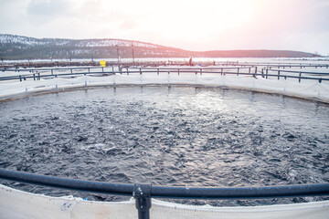 Fish farm for breeding for rainbow trout and salmon fry in net cages. Concept aquaculture...