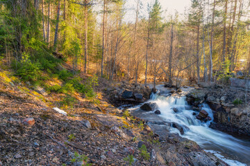 A forest stream in a Scandinavian forest in early spring, long exposure