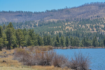 Tunnel Reservoir in the high country of the White Mountains in Greer, Arizona