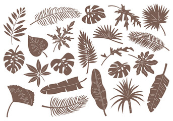 Fototapeta na wymiar Set of monochrome tropical leaves and plants.