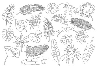 Set of outline tropical leaves and plants.