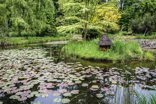 Pond in Arboretum in Rogow, small village in Brzeziny County, Poland