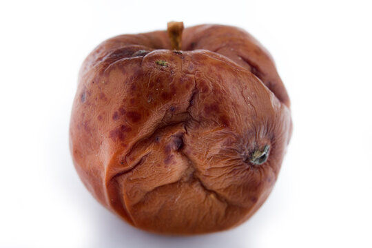 Rotten Apple As A Symbol Of Loss Of Health, Lack Of Integrity, Lose Virginity