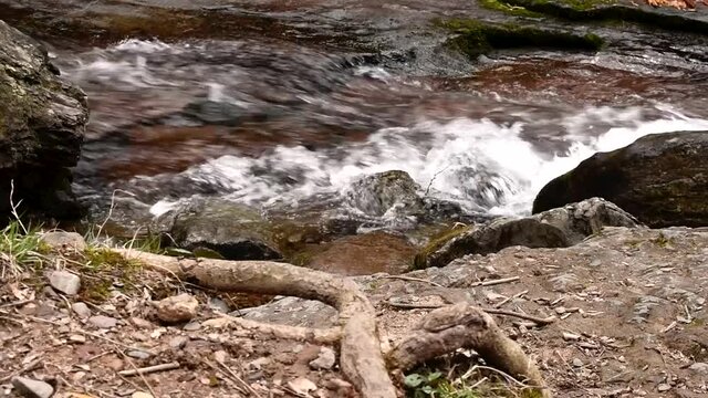 By The River
