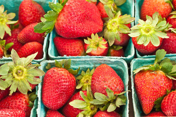 top view, close up of several green, cardboard, containers, filled with freshly picked, local, ripe, strawberries