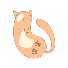 Cute funny red cat. Isolated on a white background