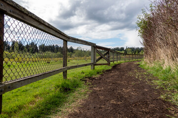 Fototapeta na wymiar view of a dirt path by a wooden fenced in farm on a cloud filled, sunny day