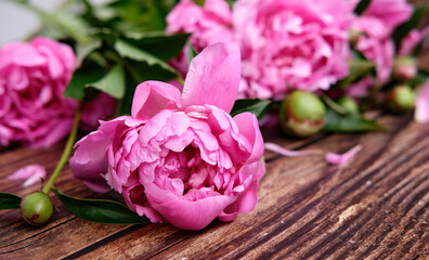 A bouquet of pink peonies In line on a dark wooden background