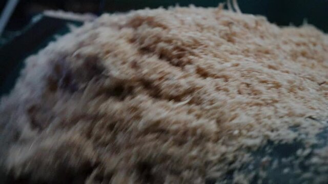 tas de silure de bois tombant au ralentie