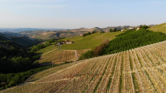 Langhe flight vineyards, Piedmont, Italy. sunset light on vineyards