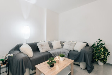 Living room area, which is decorated in gray color. The room is dominated by wooden coffee table  and modern sofa with pillows. Plants predominate among the decorative elements.