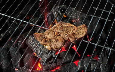 Grilled meat on a grill