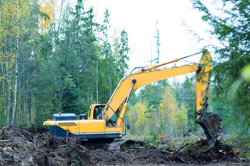 The excavator uprooting stumps
