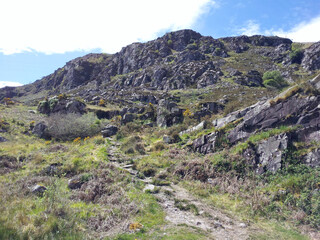 Fototapeta na wymiar Beautiful hills in Ireland covered with mchemes and peat 