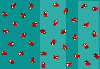 illustration of patterns of a ladybug for textiles or cards, insect